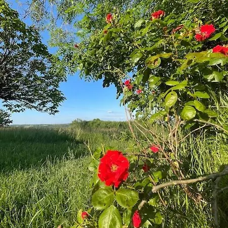 Cosy A La Campagne